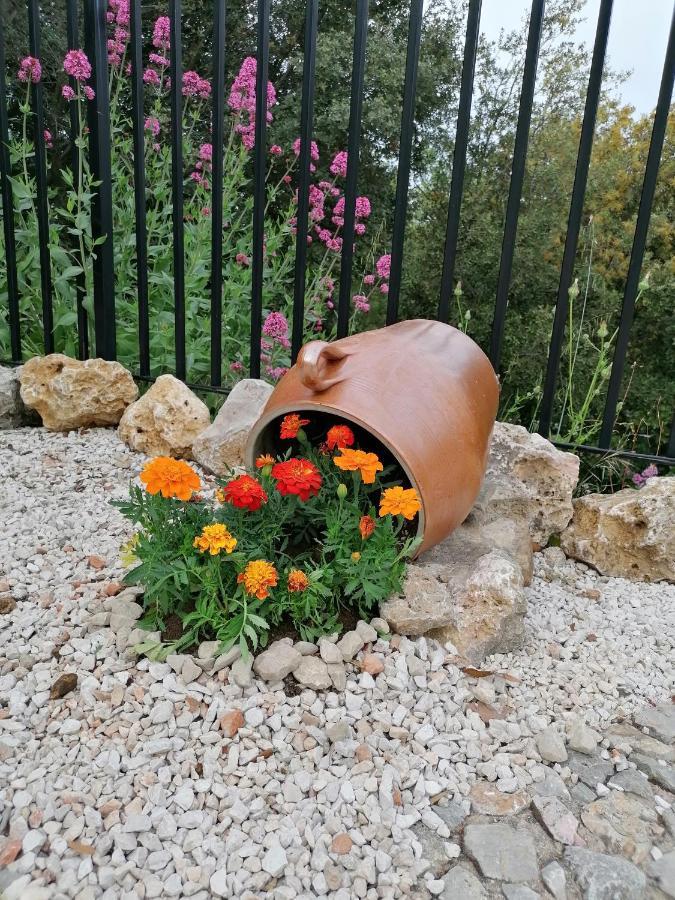 Entre Ciel Et Terre Villa Besse-sur-Issole Exterior foto